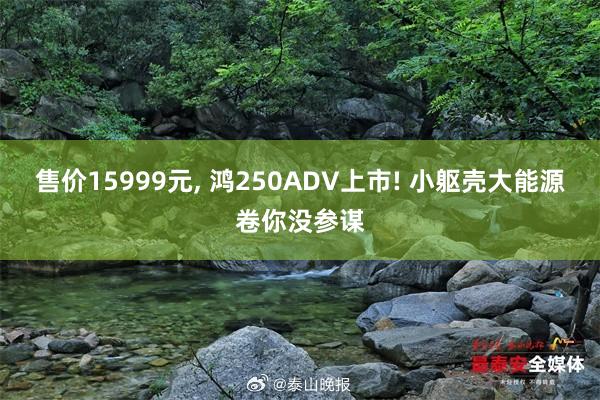 售价15999元, 鸿250ADV上市! 小躯壳大能源卷你没参谋