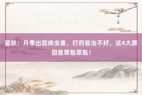 蓝妖：月季出现病虫害，打药皆治不好，这4大原因是罪魁罪魁！