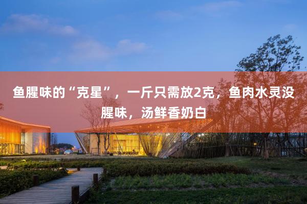 鱼腥味的“克星”，一斤只需放2克，鱼肉水灵没腥味，汤鲜香奶白