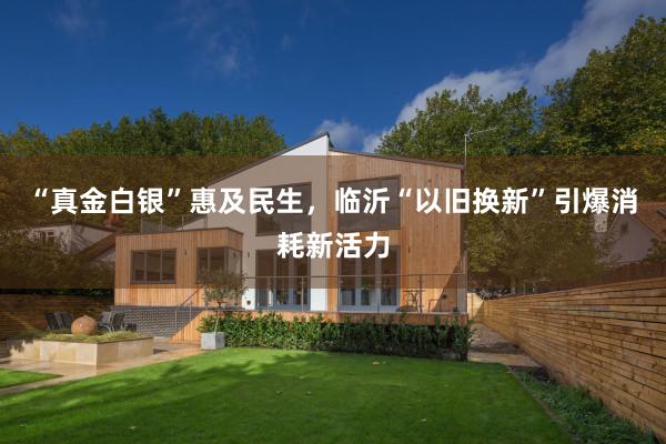 “真金白银”惠及民生，临沂“以旧换新”引爆消耗新活力