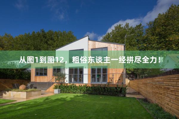 从图1到图12,粗俗东谈主一经拼尽全力!