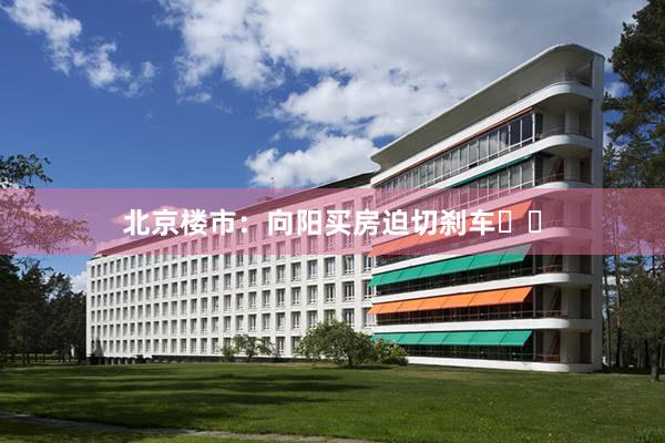 北京楼市：向阳买房迫切刹车❗️