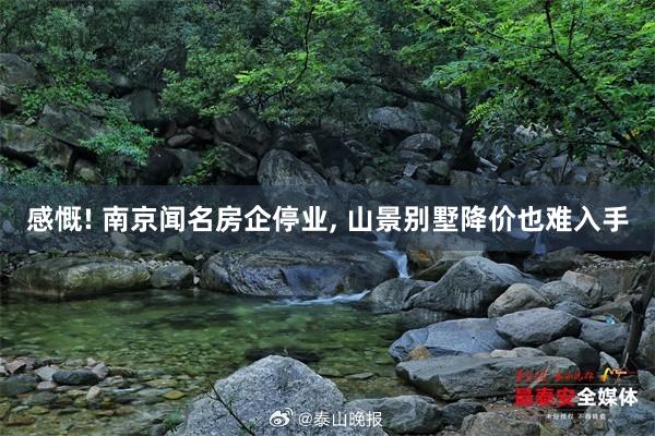 感慨! 南京闻名房企停业, 山景别墅降价也难入手