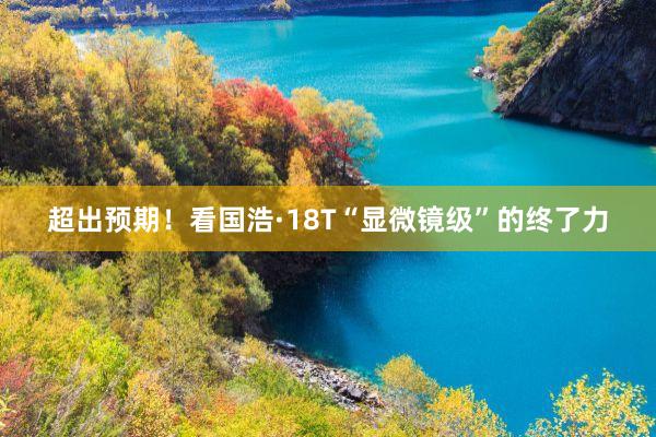 超出预期！看国浩·18T“显微镜级”的终了力