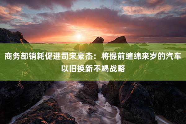 商务部销耗促进司宋豪杰：将提前缠绵来岁的汽车以旧换新不竭战略