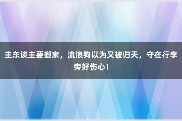 主东谈主要搬家，流浪狗以为又被归天，守在行李旁好伤心！