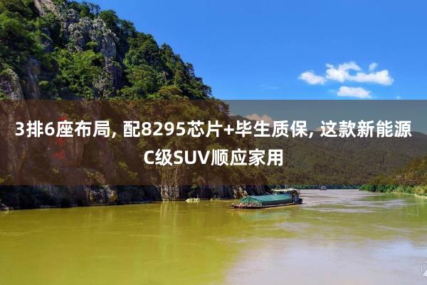 3排6座布局, 配8295芯片+毕生质保, 这款新能源C级SUV顺应家用